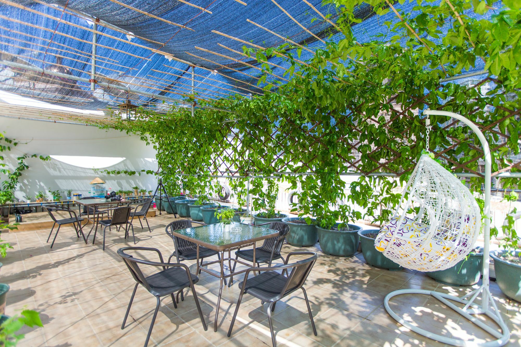 Sanya Passion Fruit Inn ภายนอก รูปภาพ